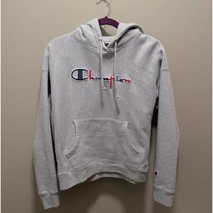 grey champion sweatshirt really good quality (tilly’s) *KIDS large* fits like xs